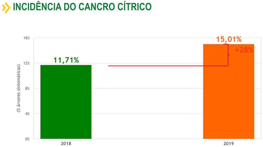 Incidência do cancro cítrico