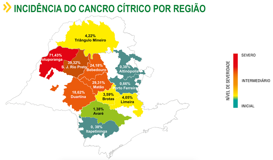 Incidência do cancro cítrico por região