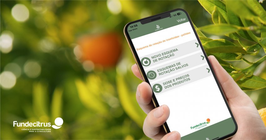 Aplicativo do Fundecitrus ajuda produtor a planejar rotação dos inseticidas