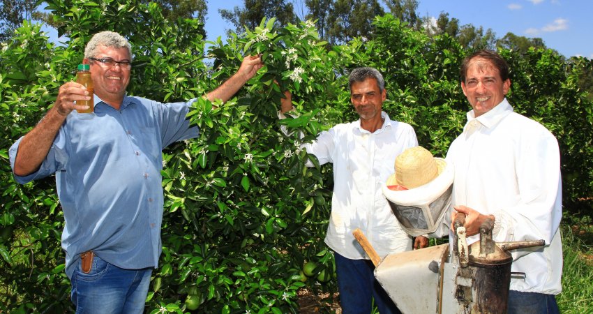 Adoção de boas práticas marca parceria de mais de 20 anos entre citricultor e apicultor