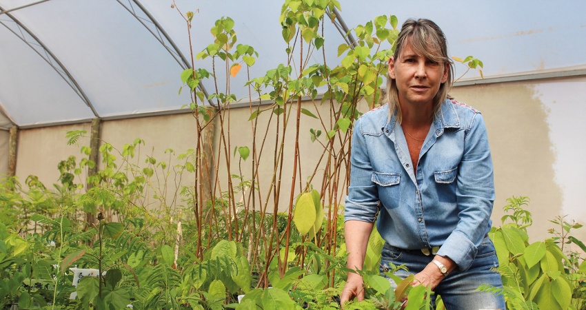 Responsabilidade social e ambiental a partir da laranja