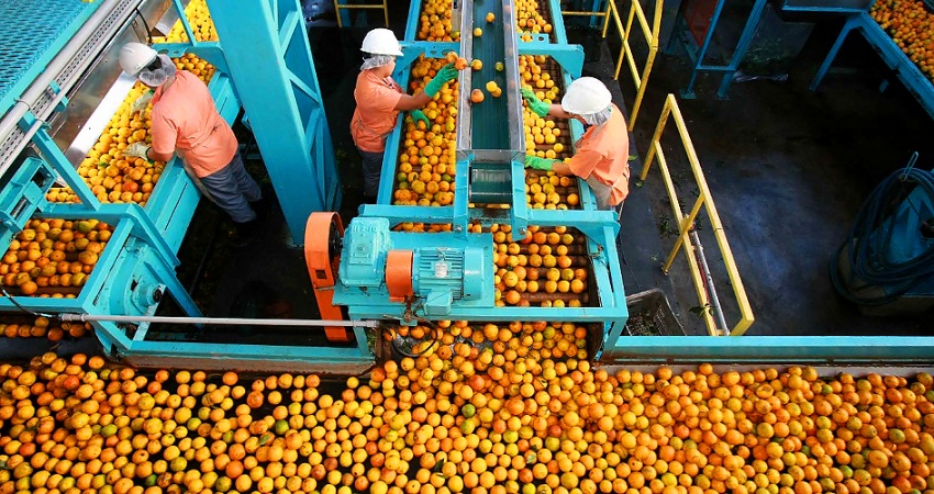 Estoque menor de suco de laranja acelera vendas externas do Brasil