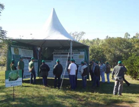 Produtores aprendem a fazer uma boa aplicação para o controle do psilídeo em dia de campo