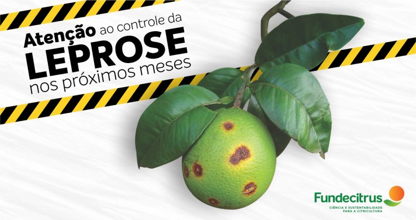 Fundecitrus alerta para o controle da leprose nos próximos meses