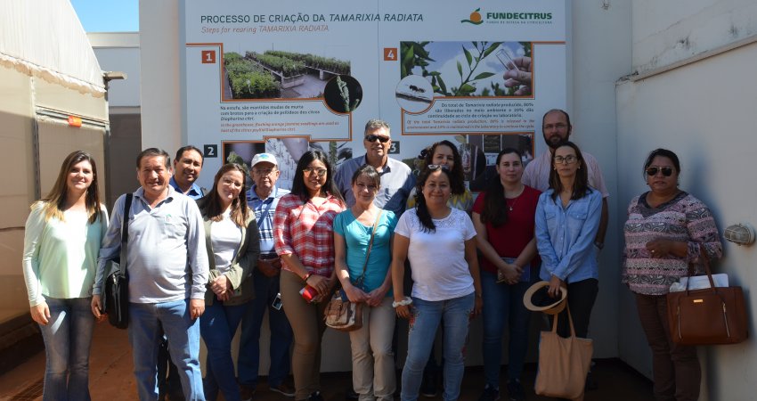 Membros do Cosave visitam laboratório de Controle Biológico  do Fundecitrus