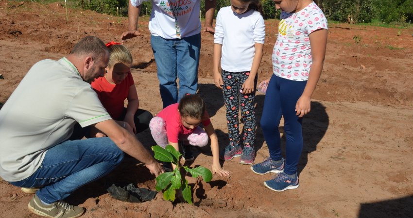 Equipes de controle externo do greening substituem 259 mil plantas de citros e murta e percorrem 856 mil hectares de citros de agosto de 2018 a maio de 2019