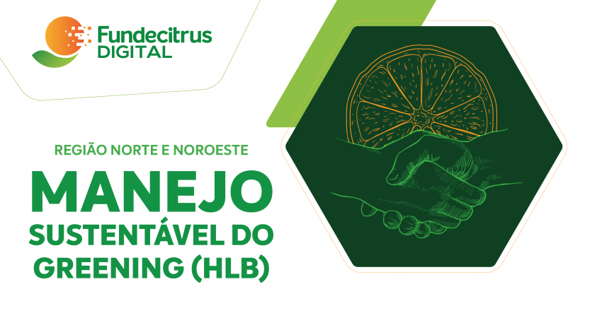 Terceiro evento online de manejo sustentável do greening aborda a incidência da doença e recomendações de manejo para as regiões Norte e Noroeste