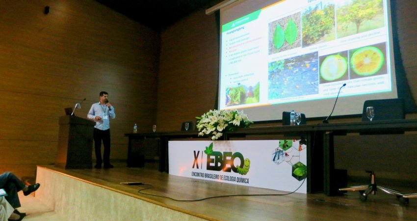 Pesquisador do Fundecitrus apresenta resultados de estudos para repelência do psilídeo no X Encontro Brasileiro de Ecologia Química