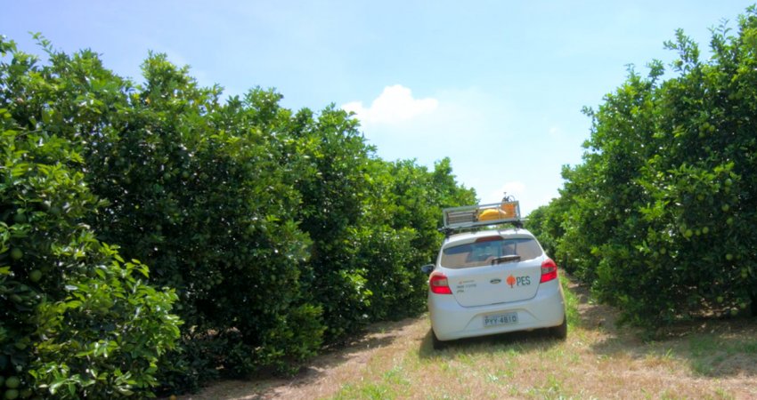 Fundecitrus inicia novo mapeamento completo do parque citrícola