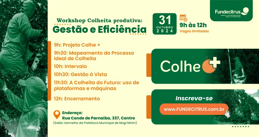 Colhe+: encontro abordará produtividade na colheita de citros