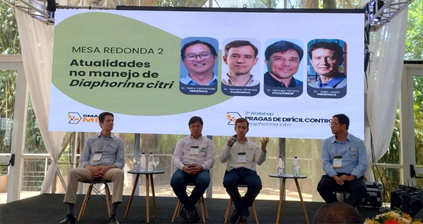 Fundecitrus participa de discussões sobre greening, em Piracicaba (SP)