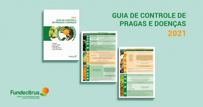 Guia de controle de pragas e doenças do Fundecitrus é atualizado; nova versão inclui podridão floral e ácaro da leprose