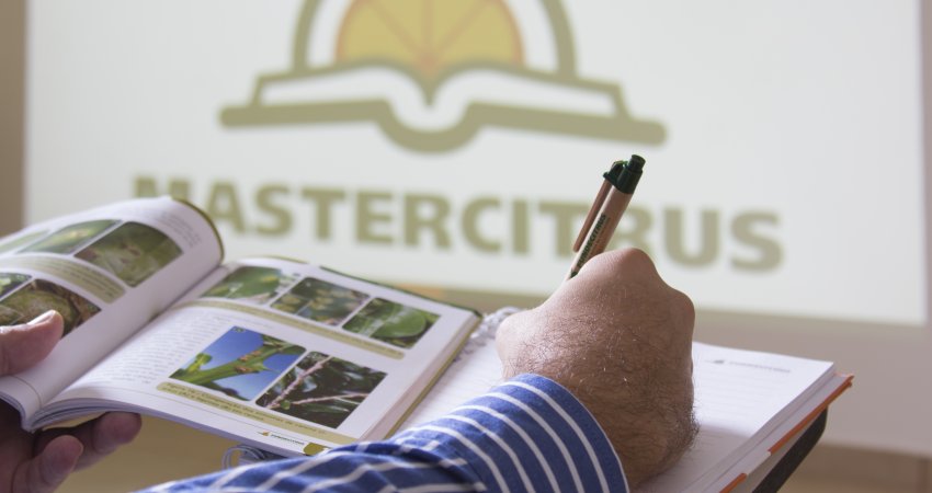 Mais de 80% dos artigos do MasterCitrus foram publicados em revistas científicas internacionais em 2015