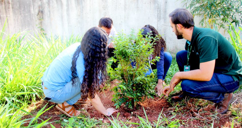 Fundecitrus promove plantio de mudas frutíferas em escolas de Pedregulho (SP)