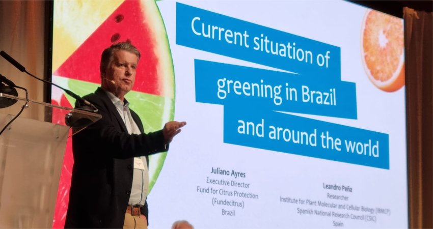 Fundecitrus discute desafios e conquistas da citricultura no Juice Summit, na Bélgica