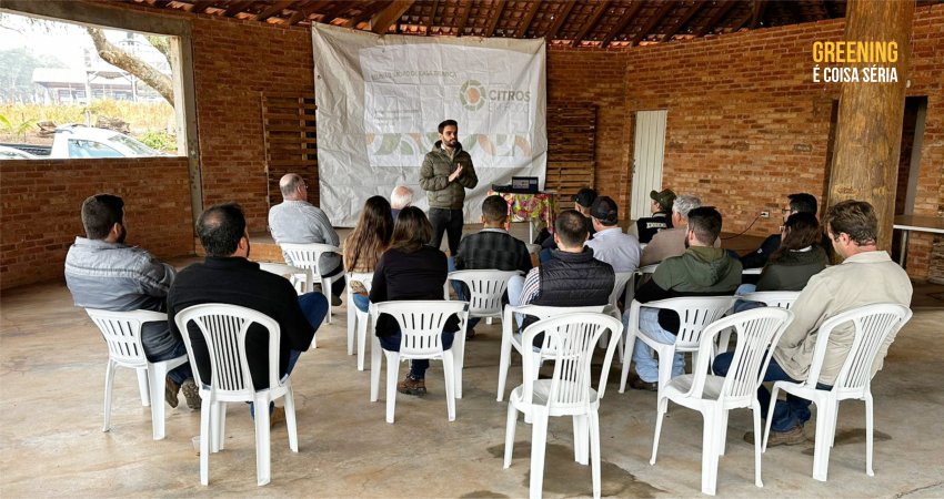 Produtores de Casa Branca (SP) definem estratégias para manejo do psilídeo