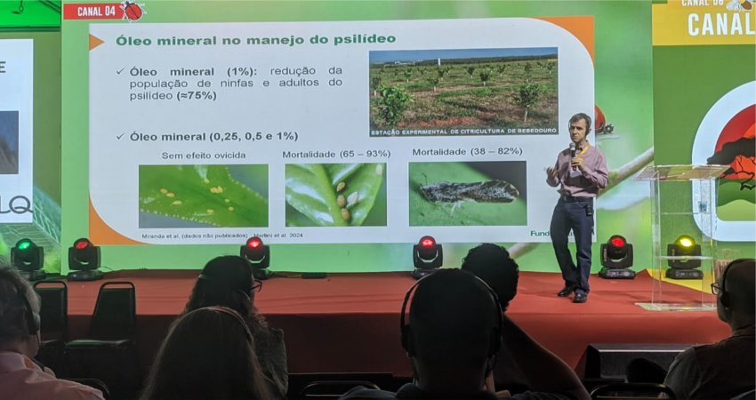 Pesquisadores do Fundecitrus participam do XXIX Congresso Brasileiro de Entomologia, em Uberlândia (MG)