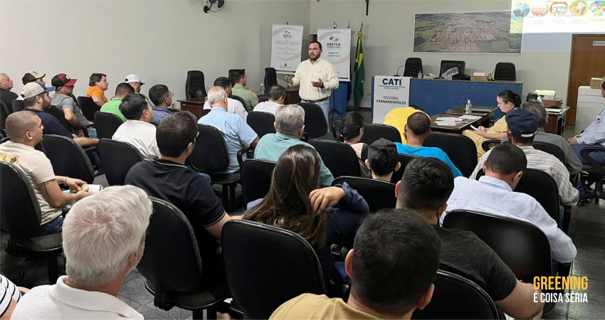 Manejo do greening é tema de palestra em Estrela d'Oeste (SP)