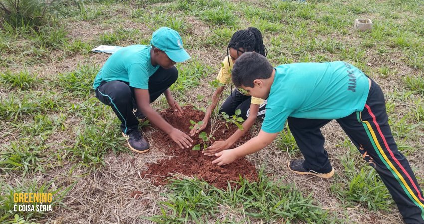 Estudantes de Itapeva (SP) participam de palestra sobre conscientização do greening