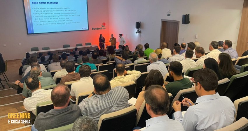 Seminário discute uso de reguladores vegetais para o greening