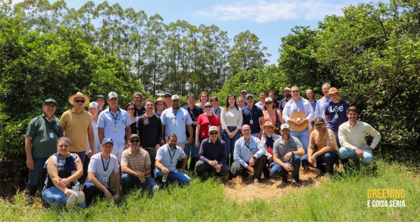 Fundecitrus realiza treinamento teórico e prático sobre greening