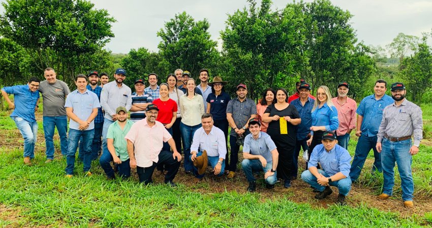 Fundecitrus realiza treinamentos sobre manejo do greening, em Anápolis (GO)   