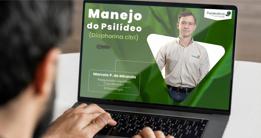 Fundecitrus e técnicos do IPEF debatem sobre medidas de manejo do psilídeo dos citros e do eucalipto