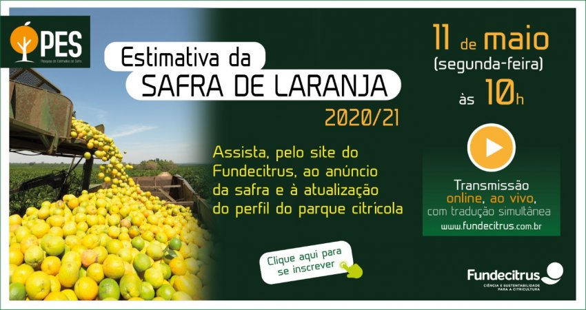 Fundecitrus divulga estimativa da safra de laranja 2020/21 em 11 de maio, em transmissão ao vivo pelo site