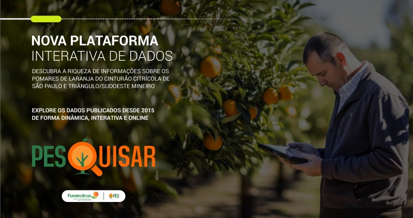 Plataforma PESquisar disponibiliza dados detalhados da safra de laranja para o citricultor