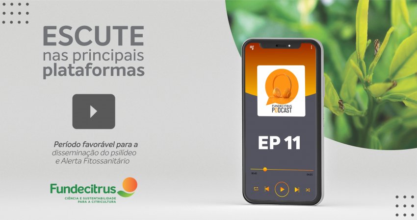 Fundecitrus Podcast aborda o período favorável para a disseminação do psilídeo e o Alerta Fitossanitário