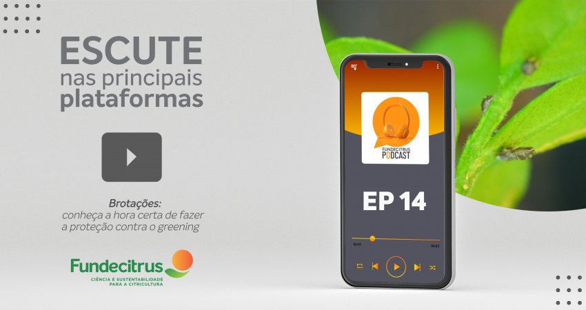 Fundecitrus Podcast destaca o momento adequado para proteger as brotações contra o avanço do greening