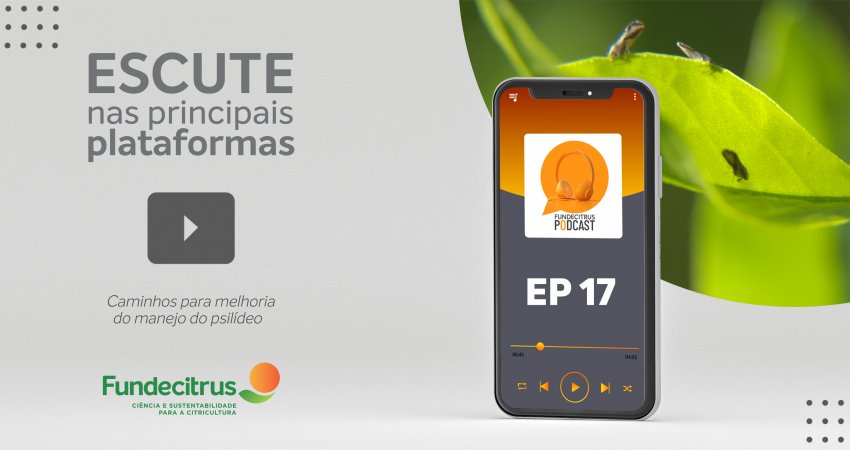 Fundecitrus Podcast reforça medidas para a melhoria do manejo do psilídeo