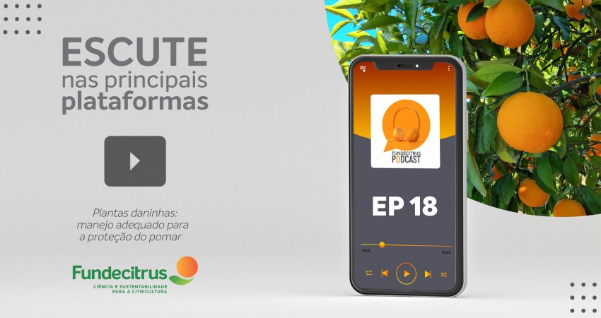 Fundecitrus Podcast discute a importância do manejo de plantas daninhas no pomar