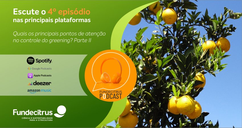 O 4ª episódio do Fundecitrus Podcast continua abordando os principais pontos de atenção no controle do greening