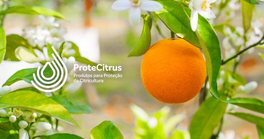 ProteCitrus passa por atualização de produtos