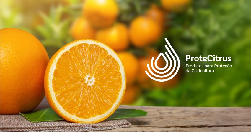 Lista ProteCitrus passa pela última atualização de 2024