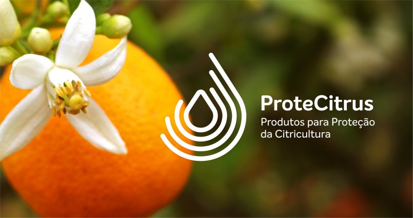 ProteCitrus estabelece novas regras para uso de produtos contra o greening e o psilídeo