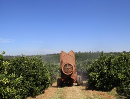 Defensivos seletivos colaboram com manejo sustentável dos pomares