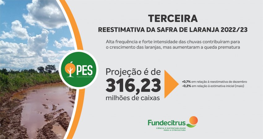 Fundecitrus divulga a terceira reestimativa da safra 2022/23 do cinturão citrícola de SP e MG, projetada em 316,23 milhões de caixas