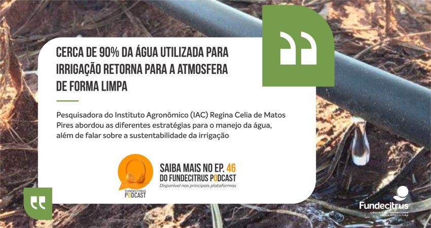 Irrigação: 90% da água consumida pelas plantas retorna para a atmosfera