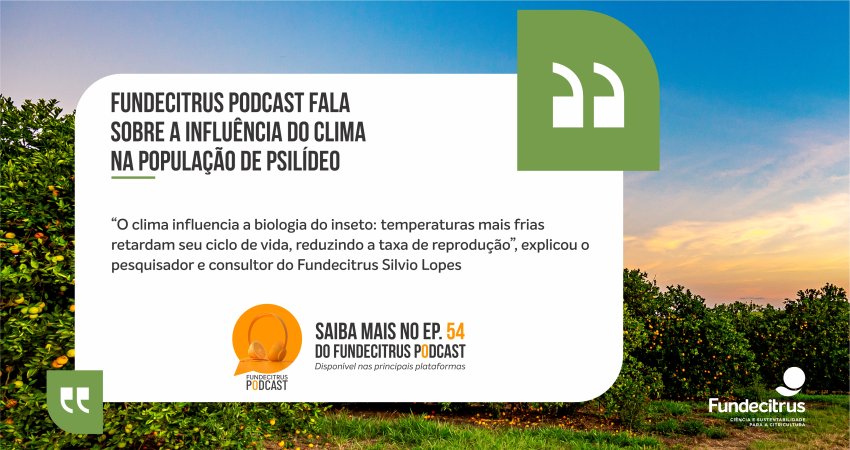 Fundecitrus Podcast fala sobre a influência do clima na população de psilídeo