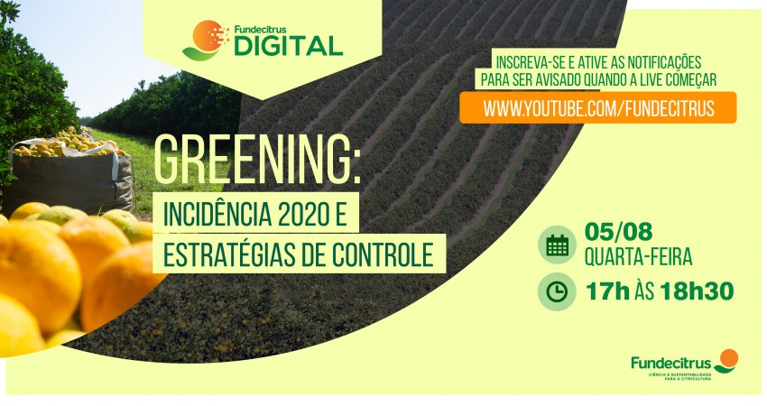 Fundecitrus promove evento online sobre o greening para apresentar a atual incidência e abordar estratégias de controle da doença