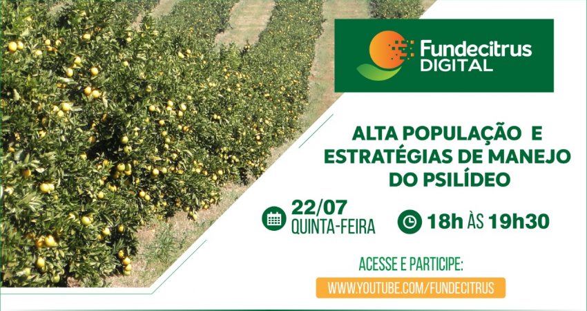 Fundecitrus promove webinar sobre manejo do psilídeo