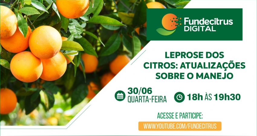 Fundecitrus promove webinar sobre manejo da leprose dos citros