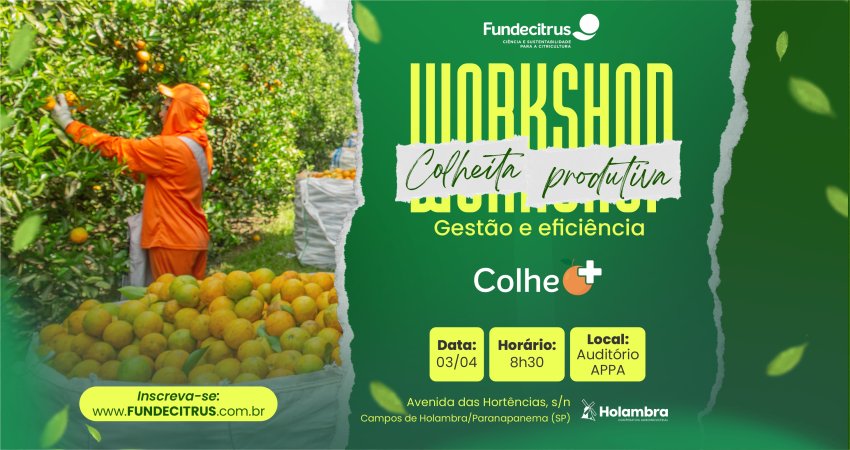 Campos de Holambra recebe Workshop Colheita Produtiva