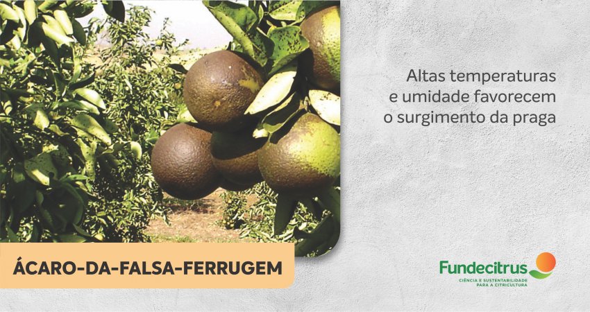 Ácaro-da-falsa-ferrugem: alta temperatura e elevada umidade favorecem o surgimento da praga