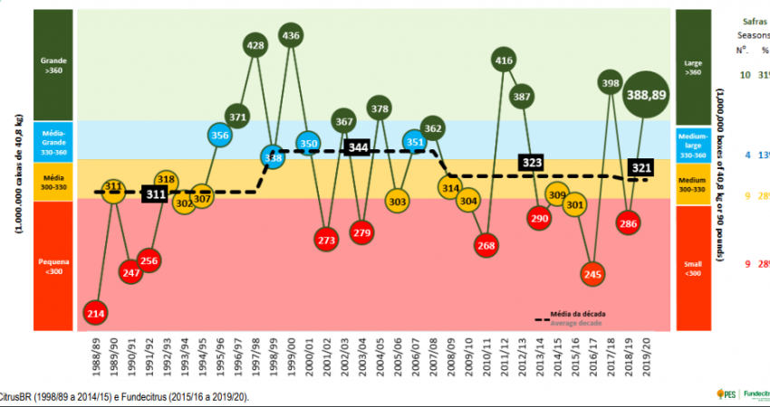 Cinturão citrícola de SP e MG produzirá 388,89 milhões de caixas de laranja na safra 2019/20