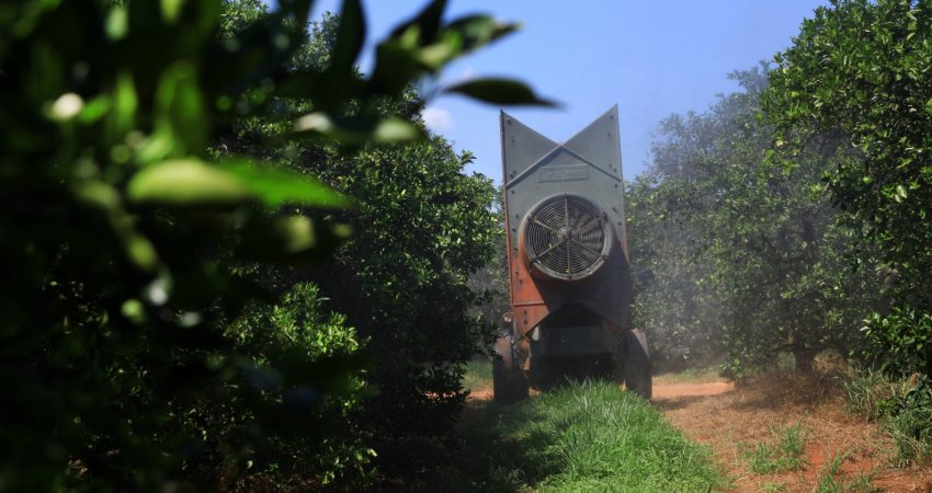 Programa orienta aplicação de cobre para pinta preta e cancro cítrico