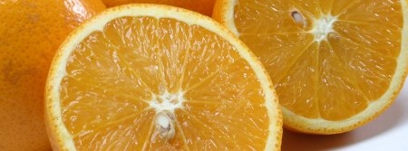 CitrusBR estima redução de 43% nos estoques de suco de laranja, que deverão chegar a 292 mil toneladas em junho