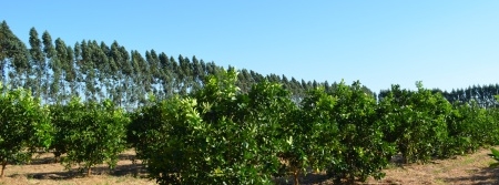 Meteorologia prevê menos chuvas e temperaturas amenas para 2016